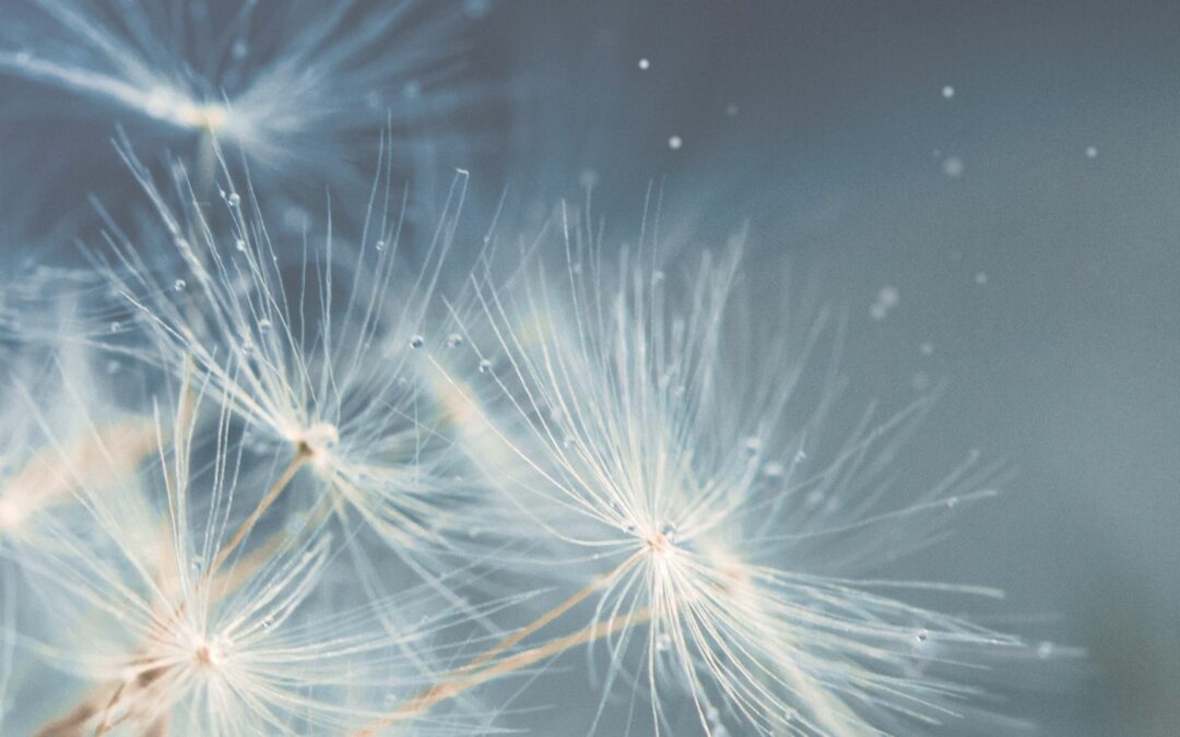 L’hypnose : Un voyage au cœur de soi